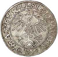 półgrosz 1553, Wilno, Kurp. 680 R3, Gum. 598, T. 5, ładna i rzadka moneta