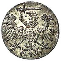 denar 1573, Gdańsk, Kurp. 1001 R2, Gum. 656, moneta rzadka i ładnie zachowana