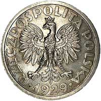 1 złoty 1929, Nominał w wieńcu liściastym, wypukły napis PRÓBA, Parchimowicz P-129 d, wybito 115 s..