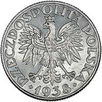 50 groszy 1938, Nominał w ozdobnym wieńcu, pod GROSZY wypukły napis PRÓBA, Parchimowicz P-121 c, w..