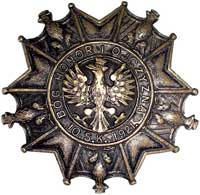 pamiątkowa odznaka żołnierska 10 pułku strzelców