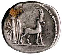 Cn. Plancius 55 pne, denar, Aw: Głowa Romy Plant