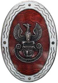 odznaka patriotyczna w postaci orzełka legionowego wytłoczonego ze srebrnej blachy umocowanego na ..