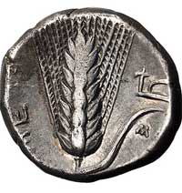 LUKANIA- Metapont, stater 330-300 pne, Aw: Głowa Demeter w prawo, Rw: Kłos zboża, z prawej pług, S..