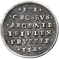trojak 1529, Toruń, Kurp. 346 R5, Gum. 533 R, T. 40, bardzo rzadki