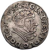 trojak 1539, Gdańsk, odmiana z napisem PRVS i w koronie bez krzyżyka, Kurp. 521 R1, Gum. 572