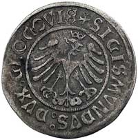 grosz 1506, Głogów, Kurp. 4 R2, Gum. 474, moneta wybita przez królewicza Zygmunta, księcia głogows..