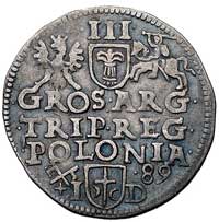 trojak 1589, Poznań, Wal. II 6, Kurp. 558 R1, patyna