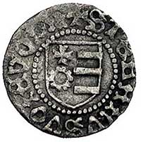 wojewoda Stefan III 1457-1504, grosz, Aw: Głowa 