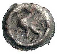Meklemburgia, XIV w., brakteat; Gryf kroczący w 