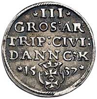 trojak 1537, Gdańsk, popiersie króla w koronie i napis PRVS, Kurp. 504 R1, Gum. 570, patyna