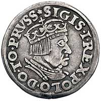trojak 1537, Gdańsk, popiersie króla w koronie i napis PRVSS, Kurp. 505 R1, Gum. 570, patyna