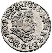 trojak 1539, Gdańsk, korona królewska z krzyżykiem, napis PRVS, Kurp. 518 R1, Gum. 572, ładny egze..