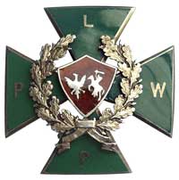 lata 20-te XX wieku, odznaka pułkowa dwuczęściowa, krzyż pokryty zieloną emalią, pośrodku złocony ..