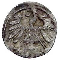 denar 1558, Wilno, Kurp. 645 (R3), Gum. 592