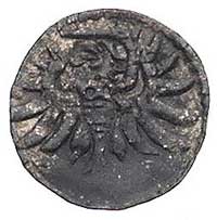 denar 1555, Gdańsk, Kurp. 926 (R3), Gum. 640, T. 8