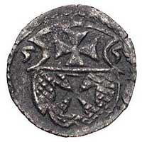 denar 1555, Elbląg, Kurp. 989 (R3), Gum. 654, T.