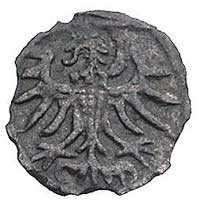 denar 1557, Gdańsk, Kurp. 928 (R4), Gum. 640, T. 10, rzadki rocznik