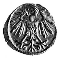 denar 1551, Wilno, j.w., Kop. I. 7., -RR-, H-Cz. 5669 R7, T.35.