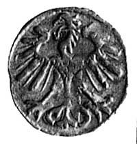 denar 1552, Wilno, j.w., Kop. I. 8., -RR-, H-Cz. 475 R2, T.8.