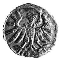 denar 1555, Gdańsk, Aw: Herb Gdańska, Rw: Orzeł,