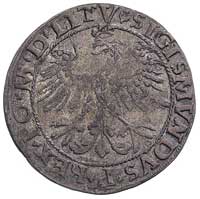 grosz 1535, Wilno, bardzo ciekawa odmiana z lite
