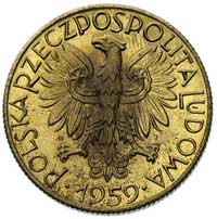 5 złotych, 1959, na rewersie wypukły napis PRÓBA, mosiądz, Parchimowicz P-230 b, wybito 100 sztuk