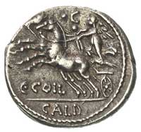 C. Coelius Caldus 104 pne, denar, Aw: Głowa Romy