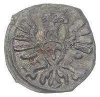 denar 1608, Poznań, T, 20, bardzo rzadki, patyna