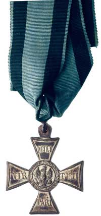 krzyż srebrny (klasa V), Polska Odznaka Zaszczyt