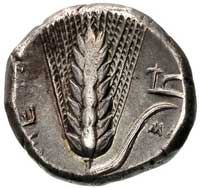 LUKANIA- Metapont, stater 330-300 pne, Aw: Głowa