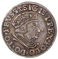 trojak 1537, Gdańsk, odmiana napisów PRVSS / GED
