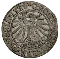 grosz 1534, Toruń