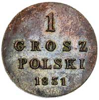 1 grosz 1831, Warszawa, Plage 228, Bitkin 1063, 
