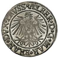grosz 1537, Królewiec, Bahr. 1164, Neumann 45, b