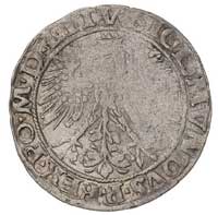 grosz 1535, Wilno, odmiana z literą N pod Pogonią, ciekawe połączenie awersu (Ivanauskas 375:45) i..
