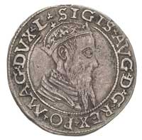 zestaw monet: czworaki 1565, 1568 i 1569, Wilno, Ivanauskas 652:96, 669:96 i 677:96, razem 3 sztuki