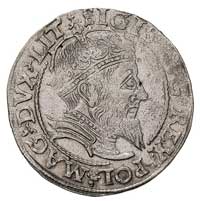 grosz na stopę litewską 1559, Wilno, Ivanauskas 595:87, T. 12, ładny egzemplarz, rzadka moneta