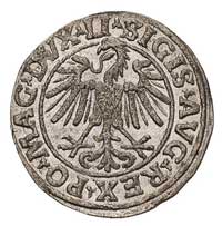 zestaw monet: półgrosze 1547, 1548, 1549, 1560, 1561 i 1562, Wilno, Ivanauskas 472:74, 474:74, 476..
