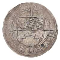 Bogusław X 1478-1523, szeląg bez daty, Dąbie, Dbg 384, nieco niedobity, patyna