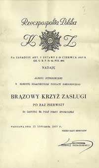 Brązowy Krzyż Zasługi, na stronie odwrotnej numer 3211, brąz 40 x 40 mm, wstążka, dyplom nadania z..