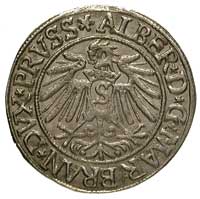 grosz 1538, Królewiec, Bahr. 1167, Neumann 45, b