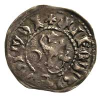 Piotr I 1375-1391, grosz, Aw: Głowa wołu z gwiaz