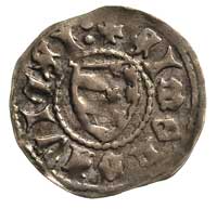 Piotr I 1375-1391, grosz, Aw: Głowa wołu z gwiaz