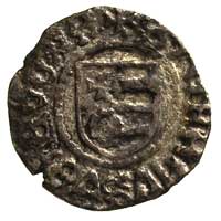 wojewoda Stefan III 1457-1504, grosz, Aw: Głowa 