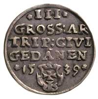 trojak 1539, Gdańsk, na awersie końcówka napisu PRV, przy nominale i dacie rozetki, ładne lustro m..