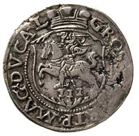 zestaw monet trojak 1564 i półgrosze 1559 oraz 1561, Wilno, Ivanauskas 640:94, 503:77 i 512:77, ra..
