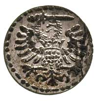 denar 1595, Gdańsk, duże lustro mennicze rzadko 