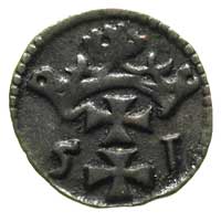 denar 1551, Gdańsk, T. 25, bardzo rzadki