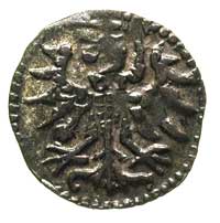 denar 1555, Gdańsk, T. 8, rzadki